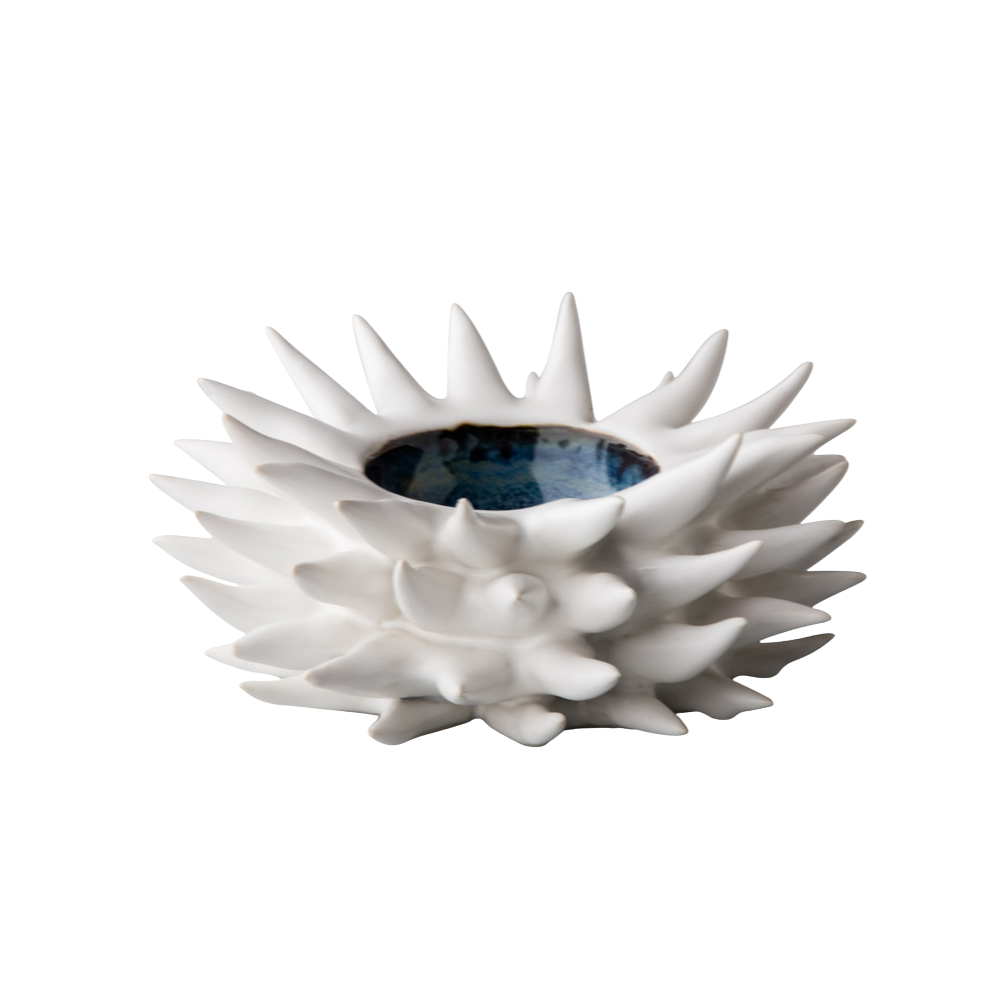 Oursin de mer décoratif 18 cm