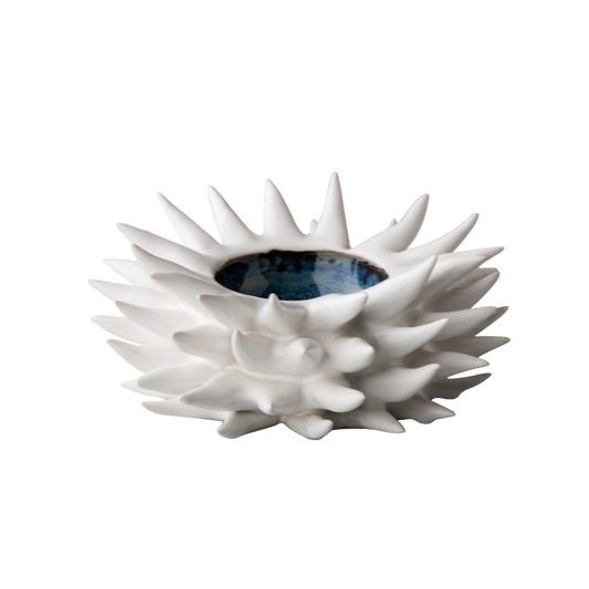 Oursin de mer décoratif 18 cm