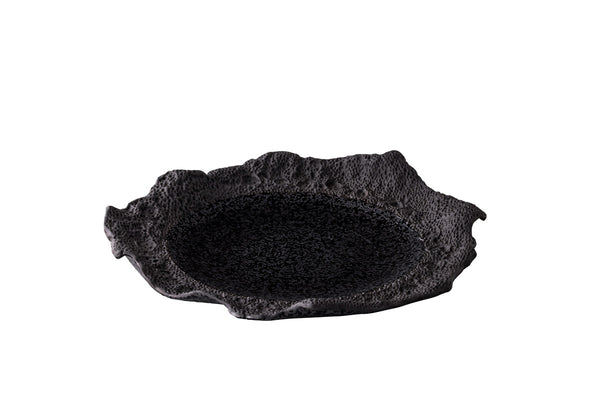 Assiette Corail